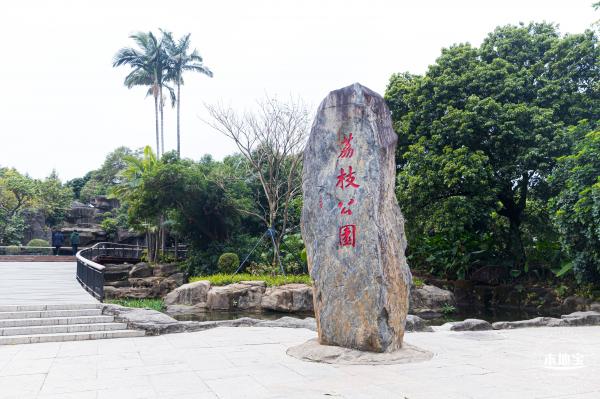 荔枝公园梅花