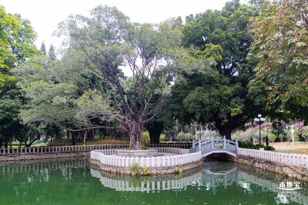 荔枝公园梅花