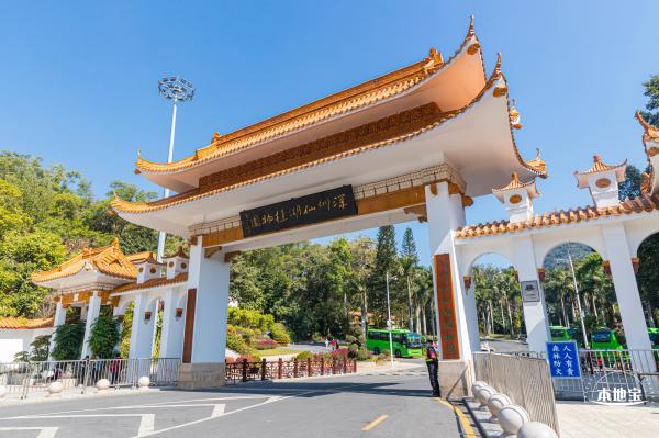 仙湖植物园落羽杉