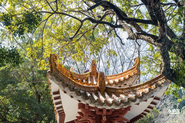 弘法寺