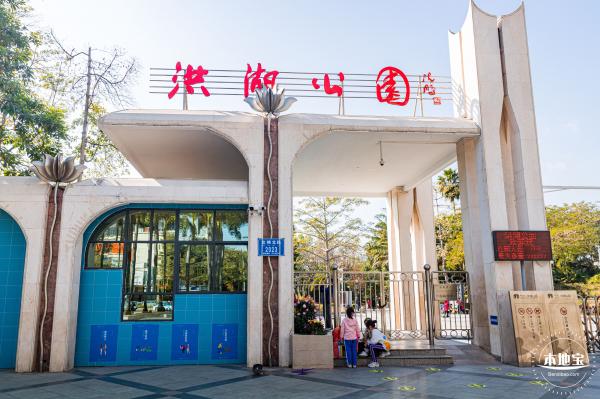 洪湖公园落羽杉