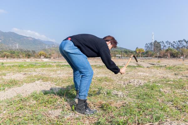 大鹏美丽乡村