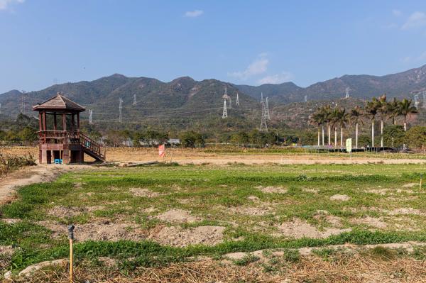 大鹏美丽乡村