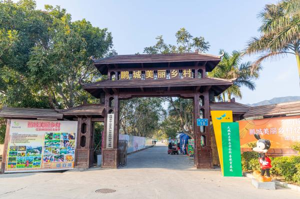 大鹏美丽乡村