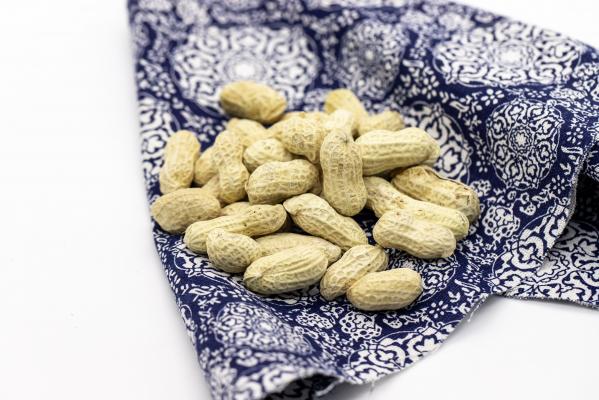 新鲜蔬菜
