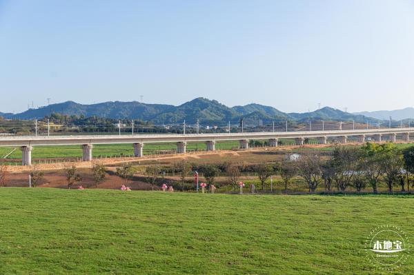 光明欢乐田园油菜花