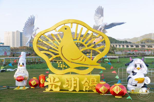 光明欢乐田园油菜花