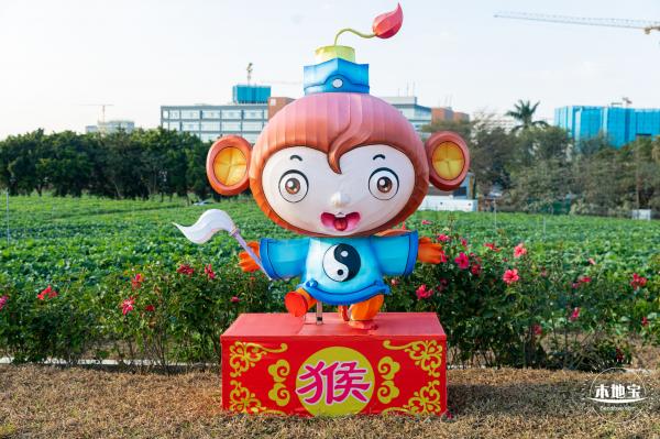 光明欢乐田园油菜花