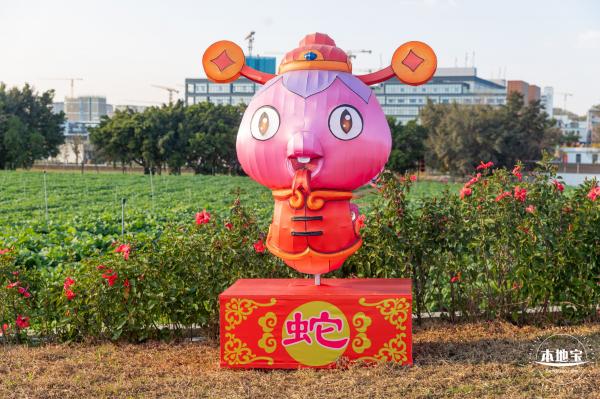 光明欢乐田园油菜花