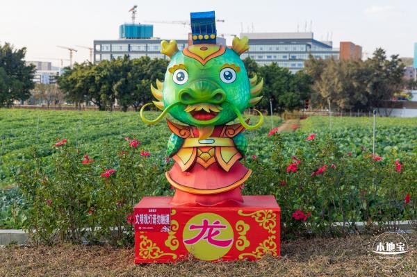 光明欢乐田园油菜花