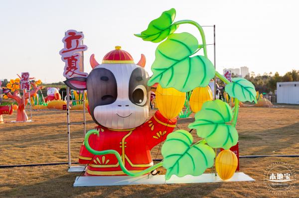 光明欢乐田园油菜花