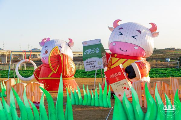 光明欢乐田园油菜花