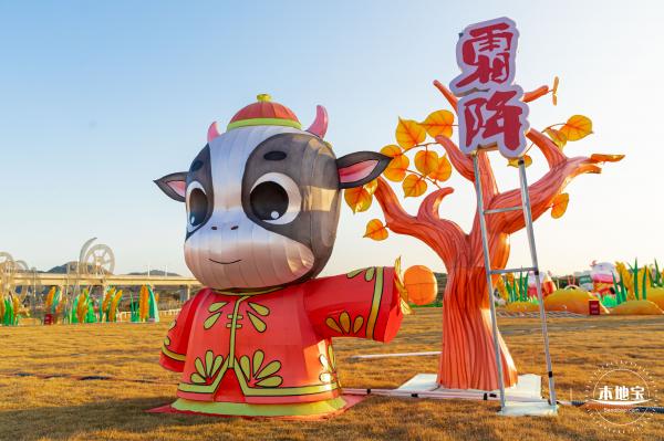 光明欢乐田园油菜花