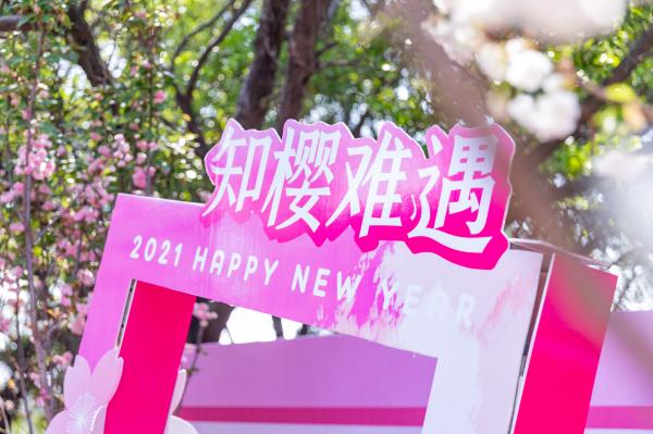 观澜大地生态园樱花