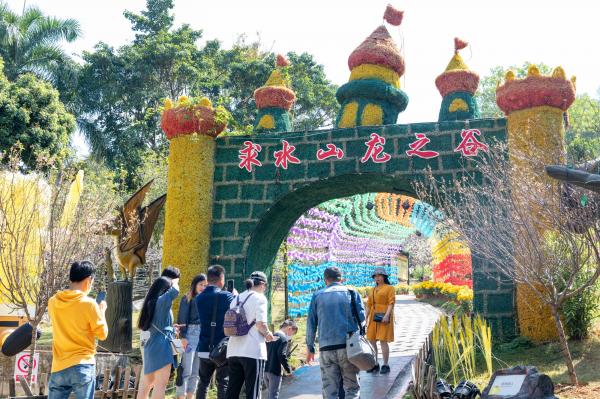 求水山龙之谷樱花