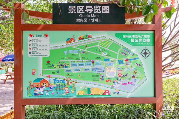 光明农场大观园向日葵