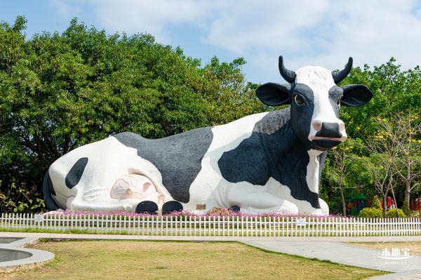 光明农场大观园向日葵
