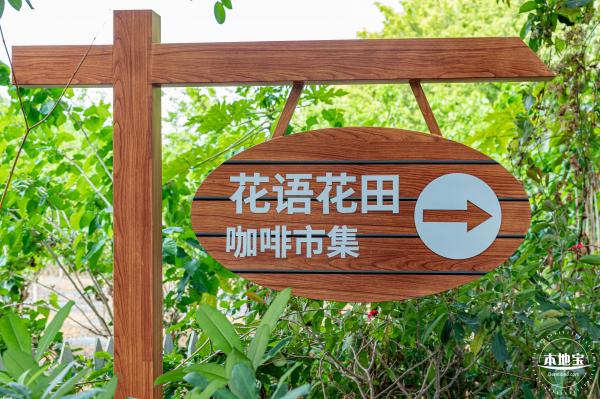 光明农场大观园向日葵