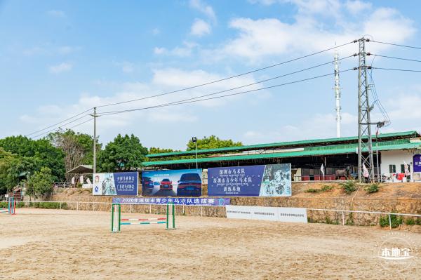 光明农场大观园向日葵