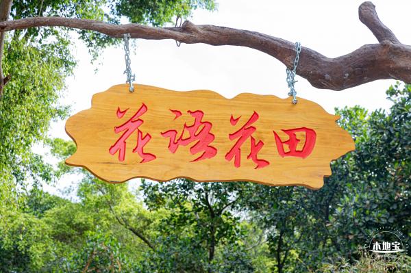 光明农场大观园向日葵