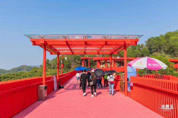 虹桥公园