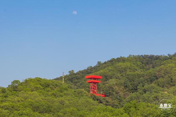 虹桥公园