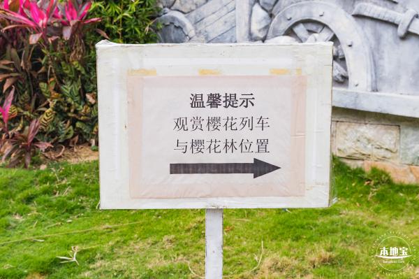 华英路樱花主题公园