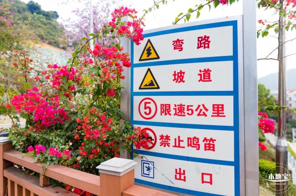 华英路樱花主题公园