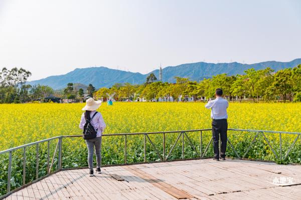 美丽乡村百花节