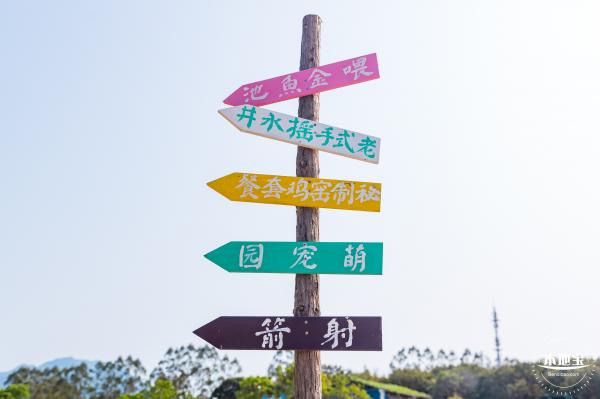 美丽乡村百花节