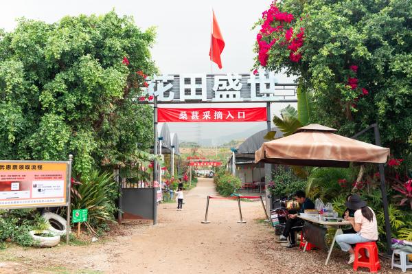 桑葚园