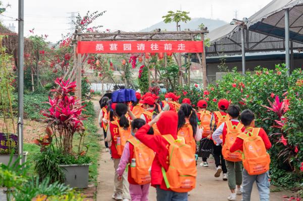 桑葚园
