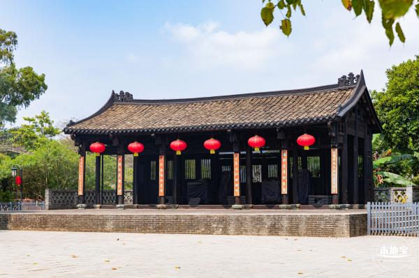 观澜版画村油菜花/向日葵