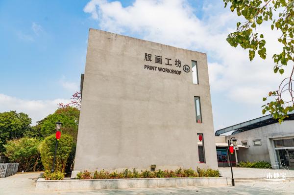 观澜版画村油菜花/向日葵