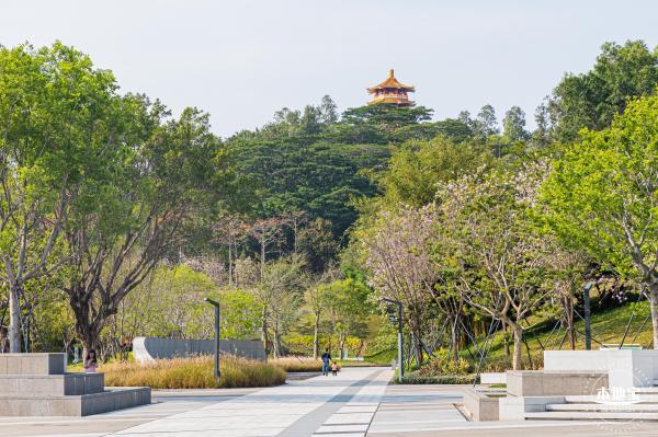 深圳民法公园