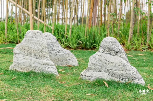 茜坑老村竹公园