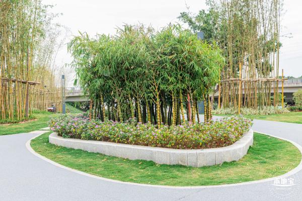 茜坑老村竹公园