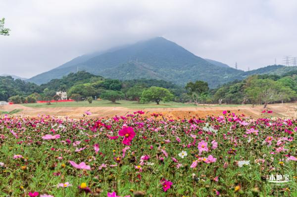 恩上湿地公园