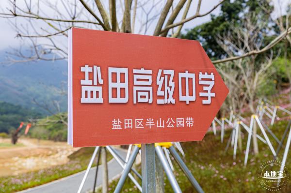 恩上湿地公园