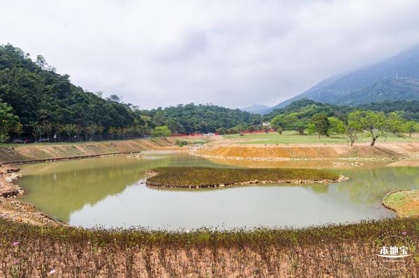 恩上湿地公园