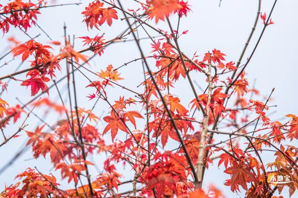 恩上湿地公园