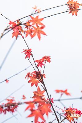 恩上湿地公园