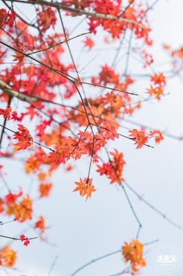 恩上湿地公园