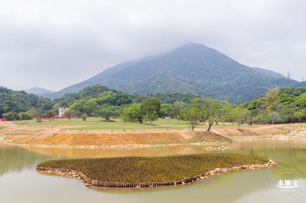 恩上湿地公园