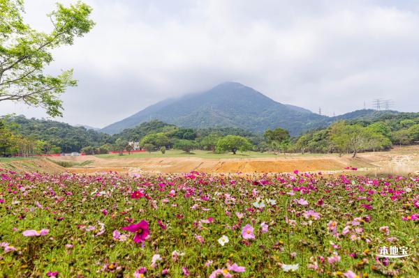 恩上湿地公园