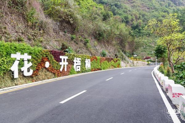 盐田半山公园带