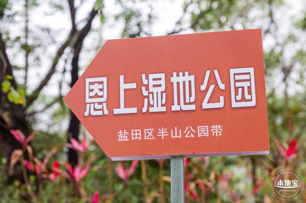 盐田半山公园带
