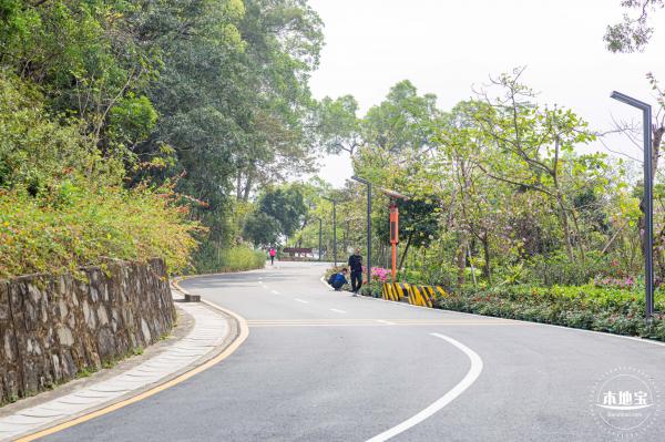 盐田半山公园带