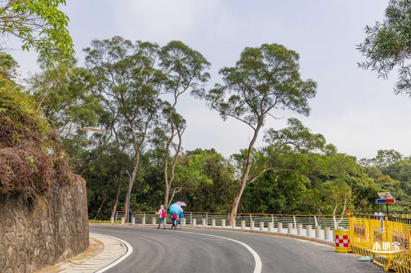 盐田半山公园带
