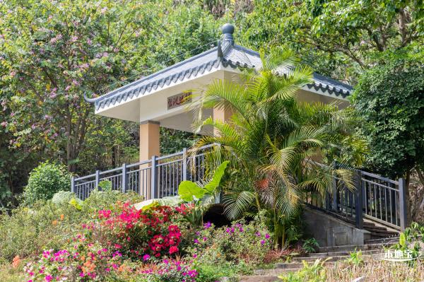 盐田半山公园带